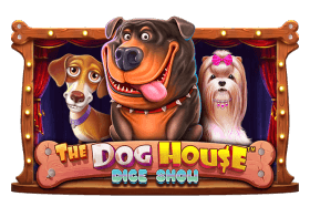 The Dog House Dice Show™
