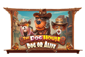 The Dog House – Dog or Alive