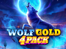 Wolf Gold 4 Pack