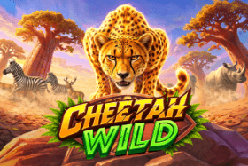 Cheetah Wild