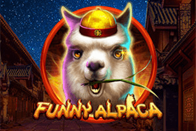 Funny Alpaca