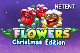 Flowers Christmas Edition