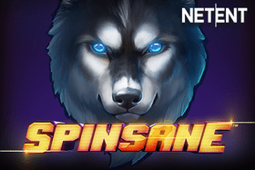 Spinsane