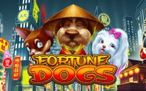 Fortune Dogs
